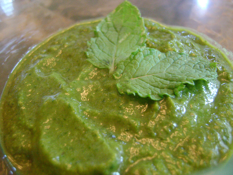 Tangy Coriander Chutney | Recipe Treasure