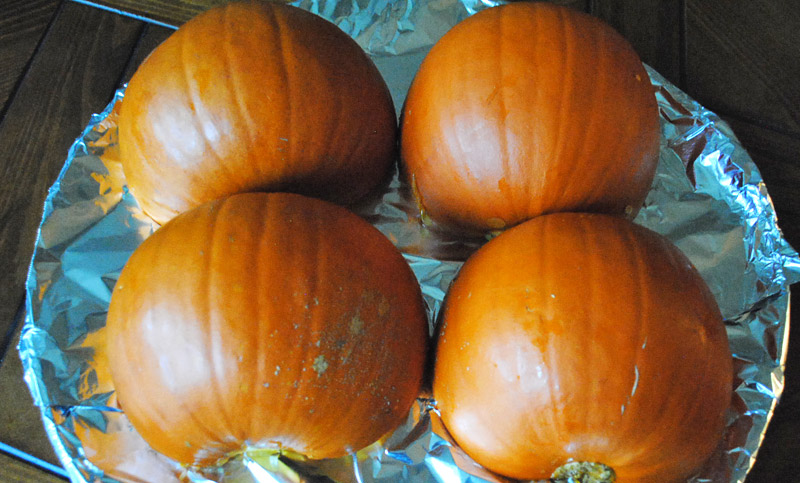 How to Make Pumpkin Puree | Recipe Treasure | gator3130.temp.domains/~recipetr