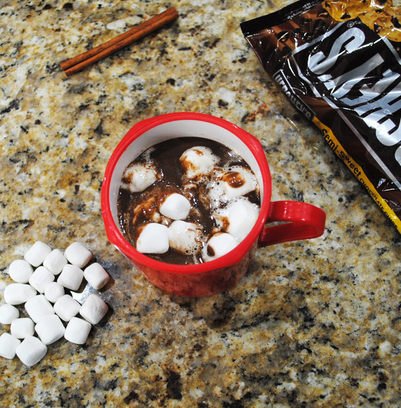 Homemade Hot Chocolate with Marshmallows | Recipe Treasure
