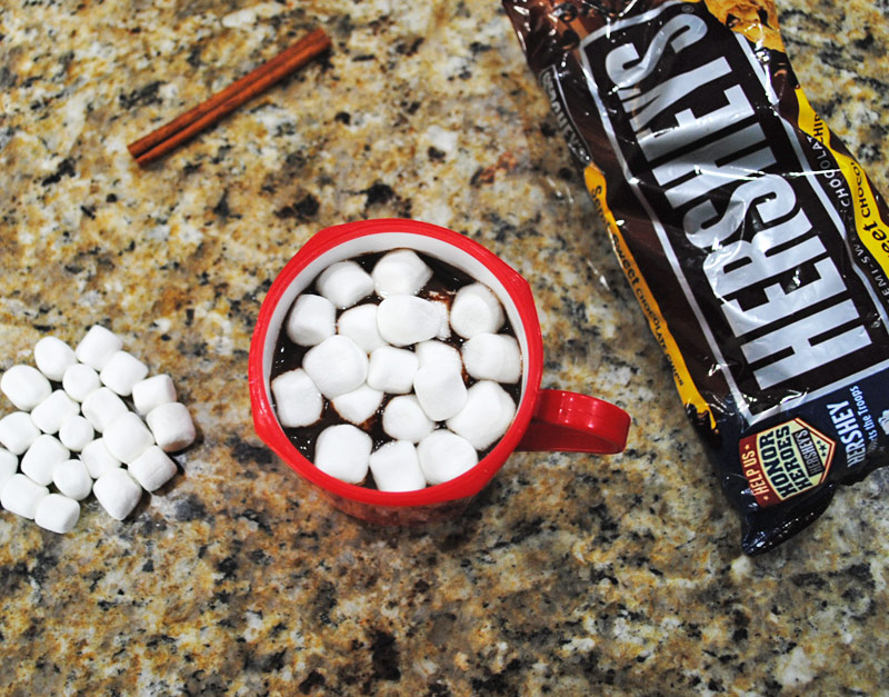 Homemade Hot Chocolate with Marshmallows | Recipe Treasure