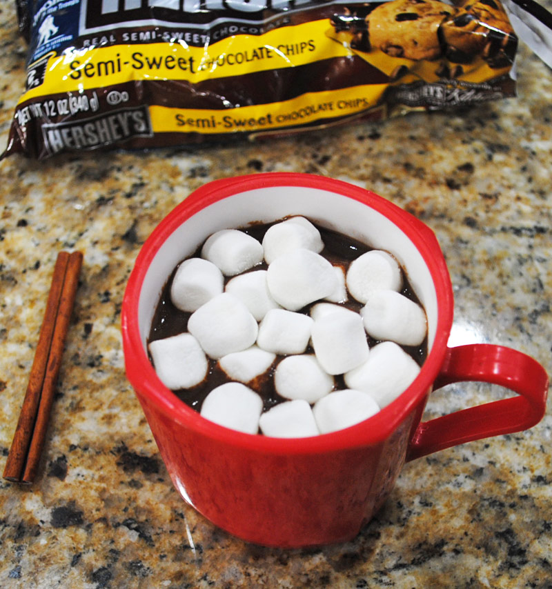 Homemade Hot Chocolate with Marshmallows | Recipe Treasure