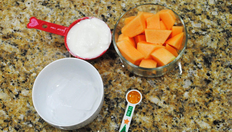 Cantaloupe Yogurt Smoothie | Ingredients | Recipe Treasure