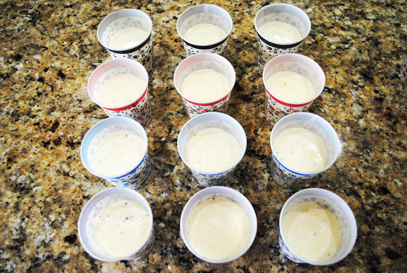 Kulfi Ice Cream Recipe Made Easy - Pour - Mixture