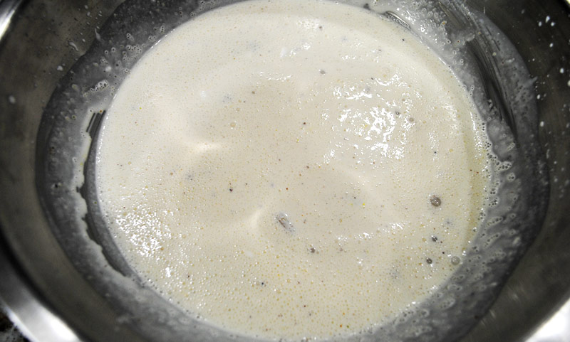 Kulfi Ice Cream Recipe Made Easy - Nuts - Mix Well