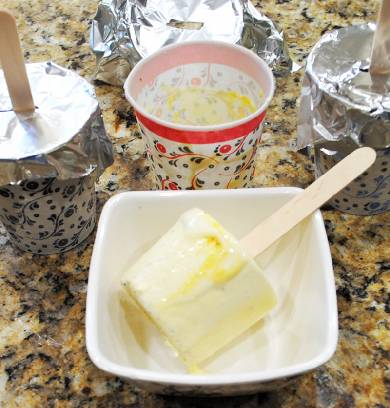 Kulfi Ice Cream Recipe Made Easy