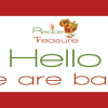 Welcome Back - Back to Blogging - Recipe Treasure